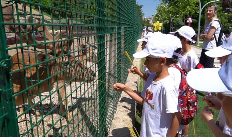 Keçiören Belediyesi, Çocuk Eğitim Merkezindeki öğrencileri Keçiören turuna çıkardı