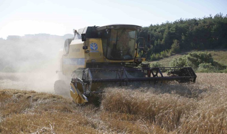 Kestel Belediyesi Türkiyenin en ucuz ekmeği için buğday hasadını yaptı