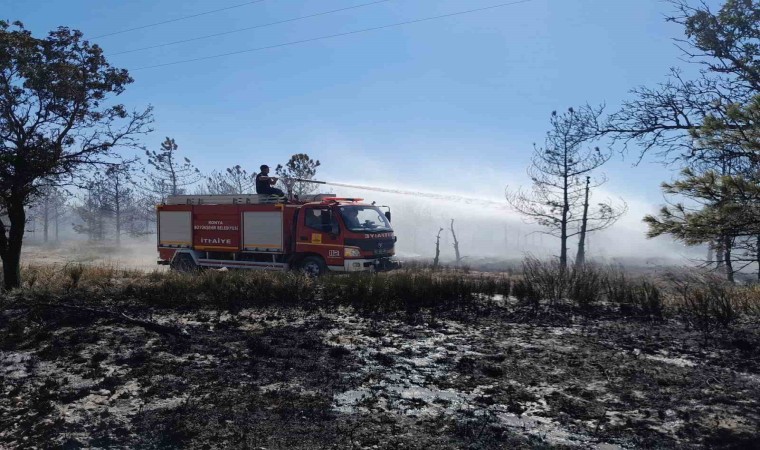 Konyada Erozyon Önleme Sahasında orman yangını