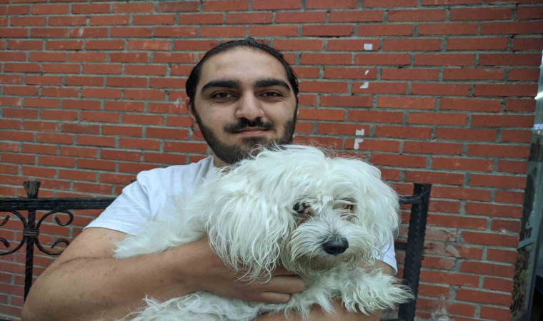 Köpeğini kaza sonucu veteriner hekime götüren gencin hastane isyanı