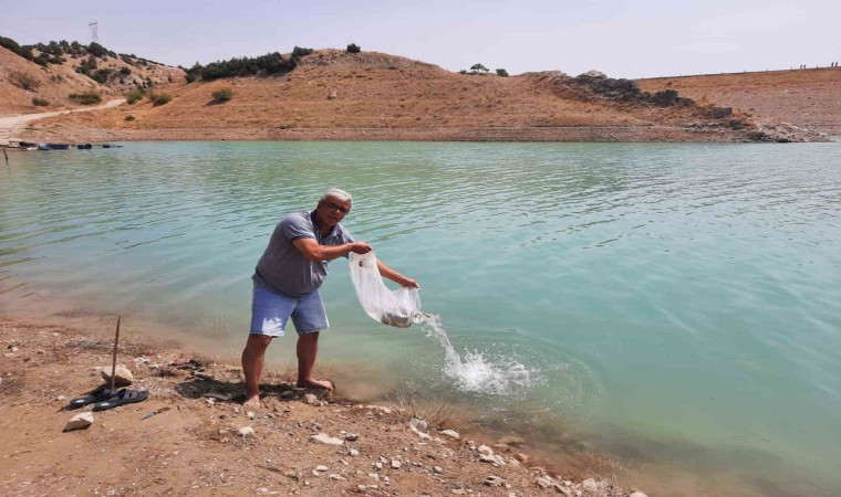 Korkuteli göletlerine 83 bin adet sazan yavrusu bırakıldı