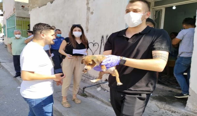 Kötü koşullarda yetiştirilen ’can dostlar’ kurtarıldı