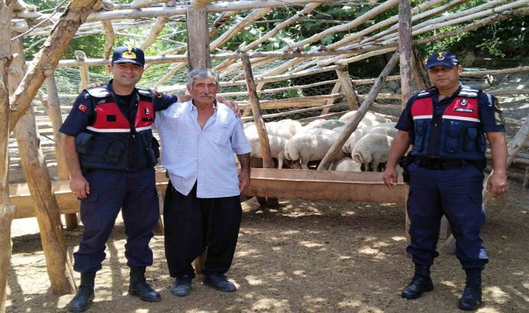 Küçükbaş hayvan hırsızları tutuklandı