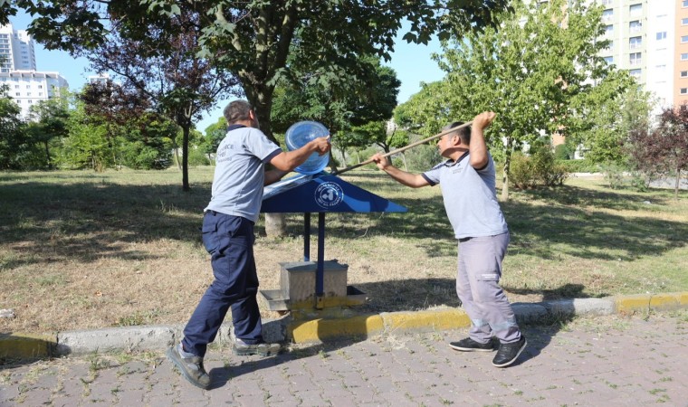 Küçükçekmecede sokak hayvanları bunaltıcı sıcaklarda da yalnız bırakılmadı