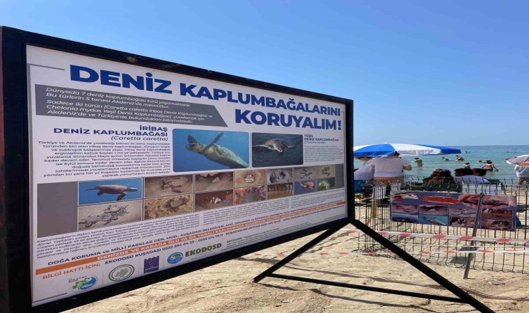 Kuşadası Belediyesinden Caretta Caretta yuvaları için bir önlem daha