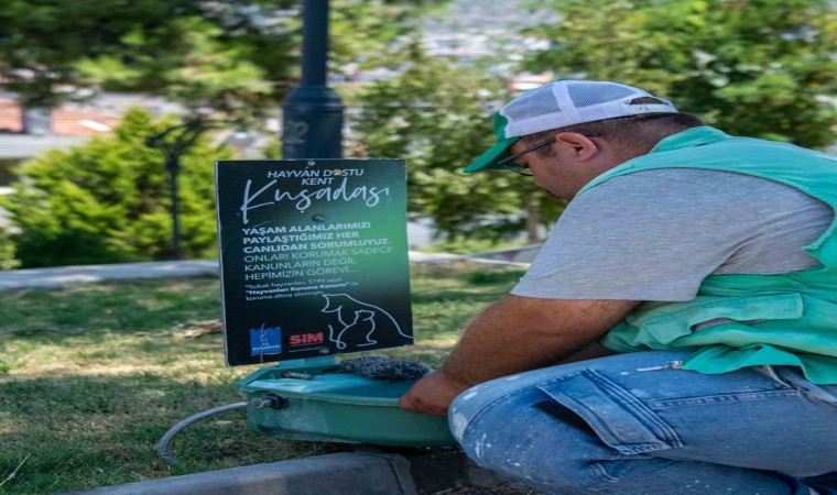 Kuşadası Belediyesinden sokak hayvanlarına su ve mama desteği