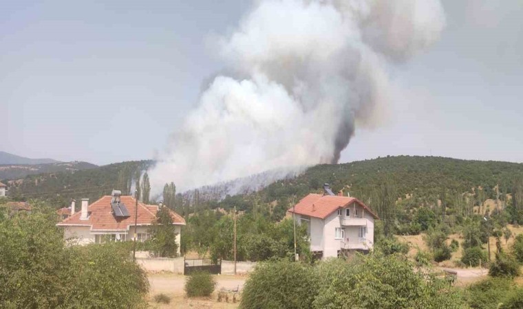 Kütahyada orman yangını