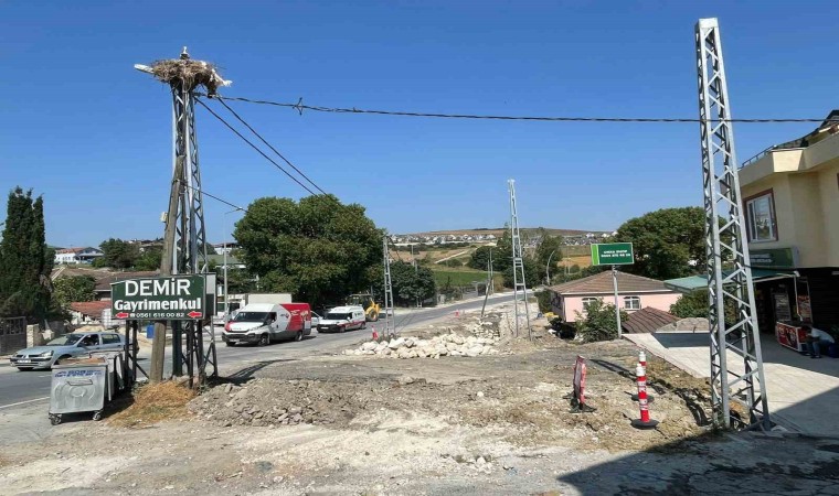 Leylek yavruları için yol inşaatı durduruldu