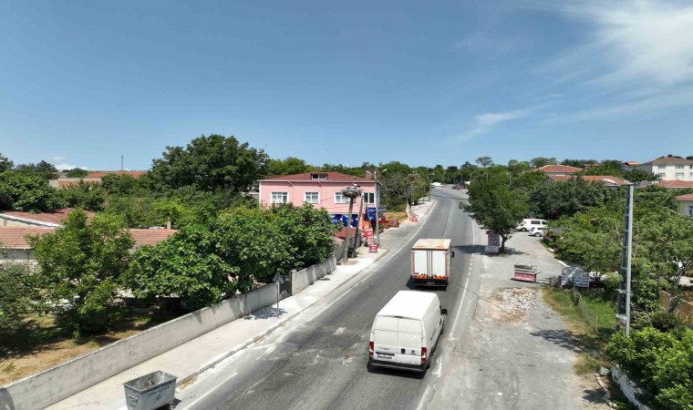 Leylekler İstanbulda insanlarla iç içe yaşıyor