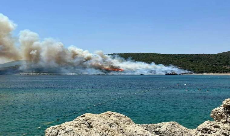 Makilik yangını mangal ateşinden çıkmış; şüpheliler adli kontrolle serbest