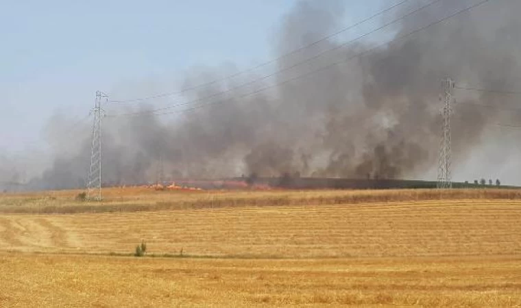 Malkara’da 40 dönüm buğday ekili tarla yandı