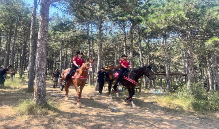 Maltepe’de atlı polislerle orman denetimi