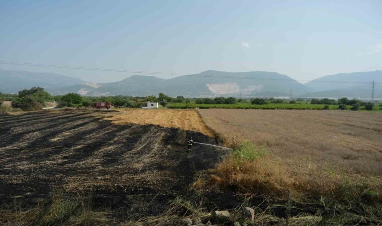 Manisada ekin yangını başka tarlalara sıçramadan söndürüldü