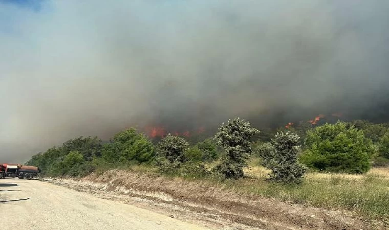 Manisa’da orman yangını / Ek fotoğraflar