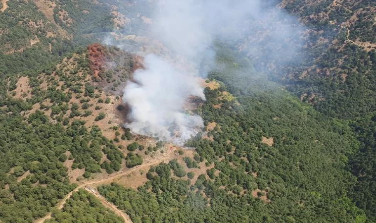 Manisa’da orman yangını