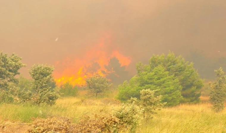 Manisa’daki orman yangınında şüpheli tarım işçisi tutuklandı