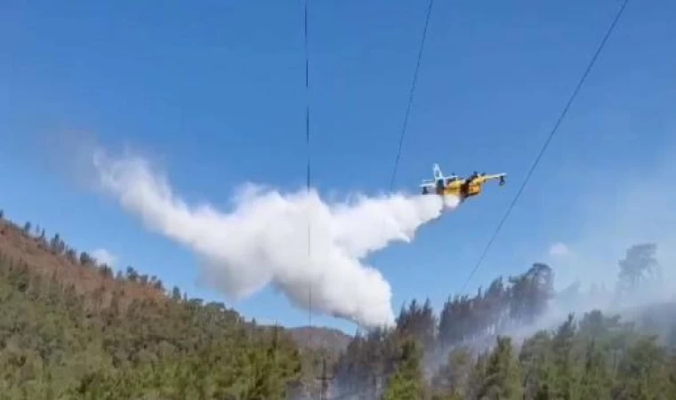 Marmaris’te orman yangını / Ek fotoğraf