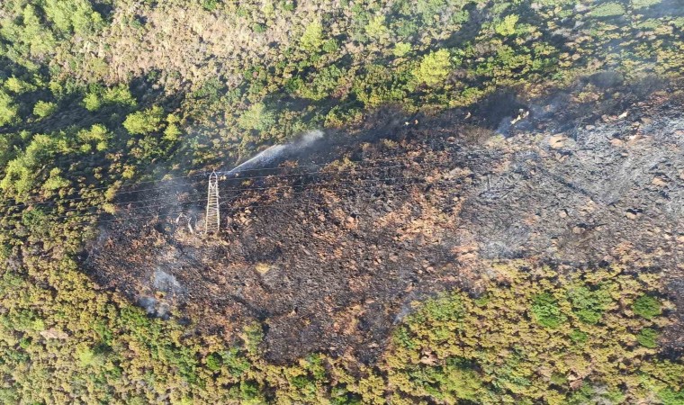 Marmariste orman yangını büyümeden söndürüldü