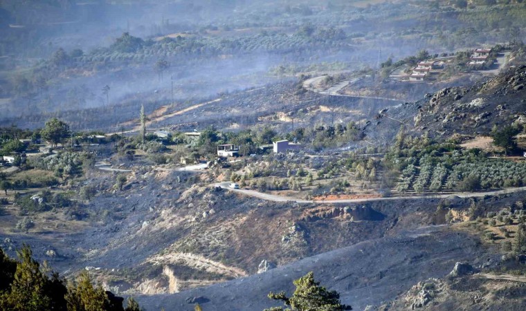 Mersin itfaiyesi, Gülnardaki yangın söndürme çalışmalarına katıldı