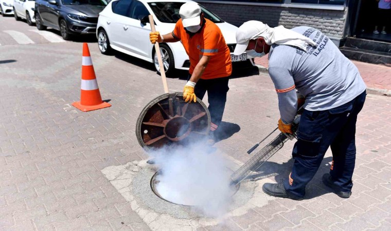 Mersinde 160 bin noktada düzenli ilaçlama yapılıyor