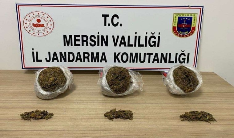 Mersinde 5 kilo 200 gram skunk esrar ele geçirildi: 3 gözaltı