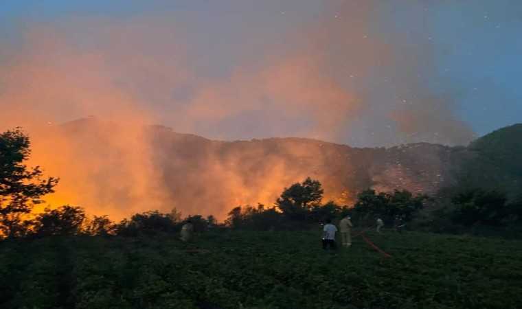 Mersinde orman yangını havadan ve karadan müdahale ile kontrol altına alındı