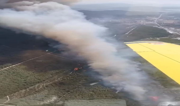 Milas’ta makilik yangını, ormana sıçradı (2)