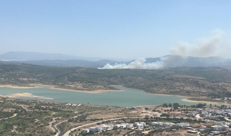 Milasta orman yangını