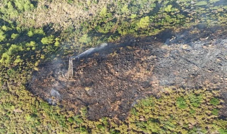 Muğla’da büyük yangınların yıl dönümünde orman yangını