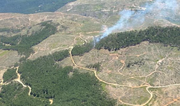 Muğla’da orman yangını