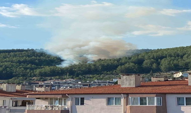 Muğlada orman yangını