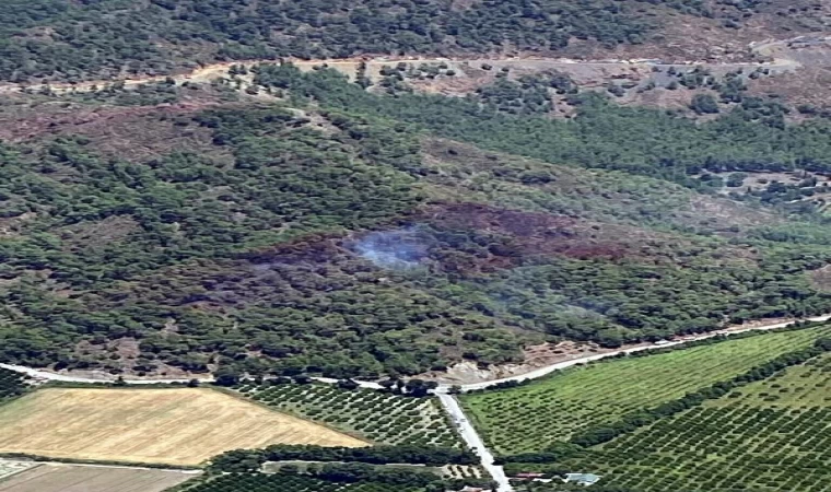 Muğla’da orman yangını (2)