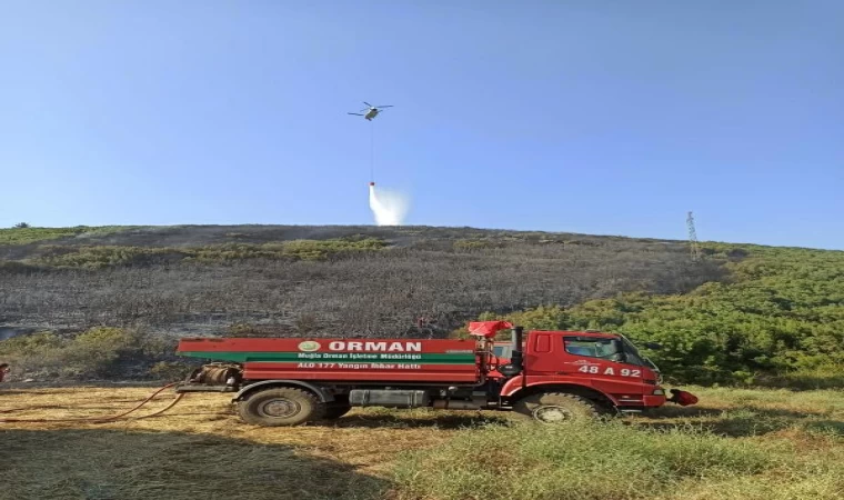 Muğla’da orman yangını (2)