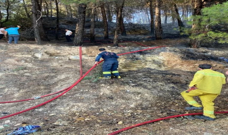 Muğla’da orman yangını (3)