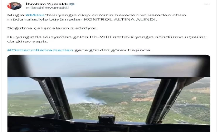 Muğla’da orman yangını (4)