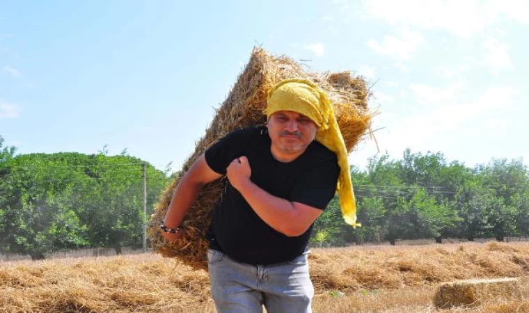 Öğrencileri için tek başına buğday ekip, hasat yapıyor