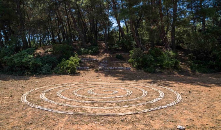 Olivelo Yaşayan Parkta safari turları yarın başlıyor