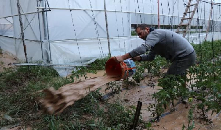 Oltu’da sağanak yağmur, ekili arazi ve seralara zarar verdi