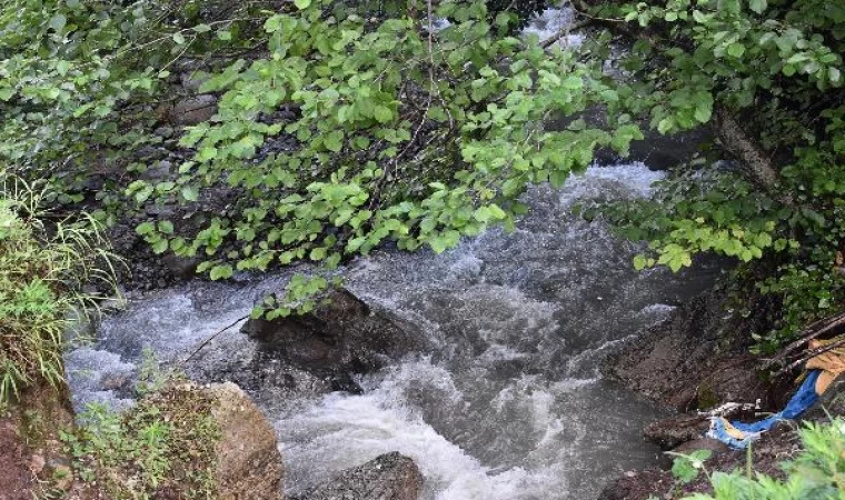 Ordu’da dereye düşen kadın aranıyor