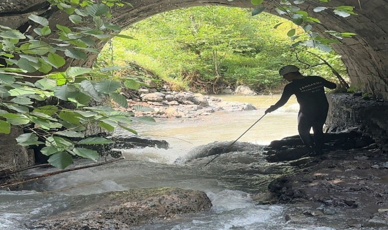 Orduda dereye düştüğü tahmin edilen kadını arama çalışmaları sürüyor