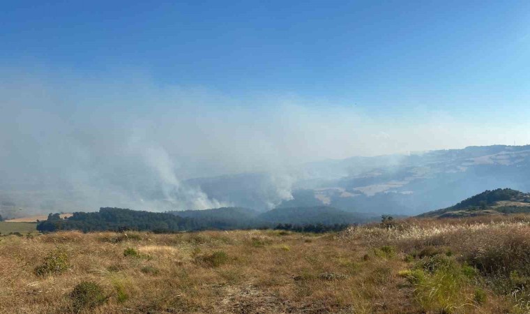 Orman yangını 18 saattir kontrol altına alınmaya çalışılıyor