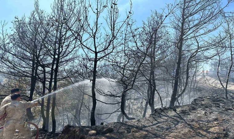 Orman yangınına jandarma desteği