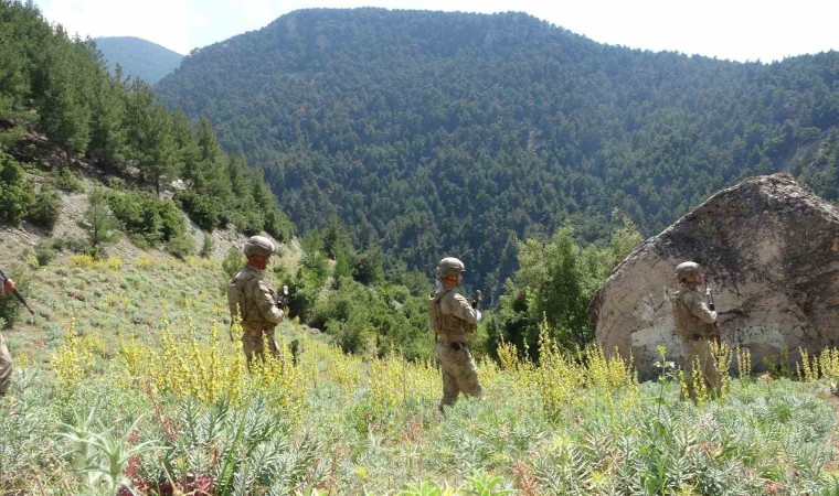 Orman yangınlarına karşı denetimler sıklaştırıldı