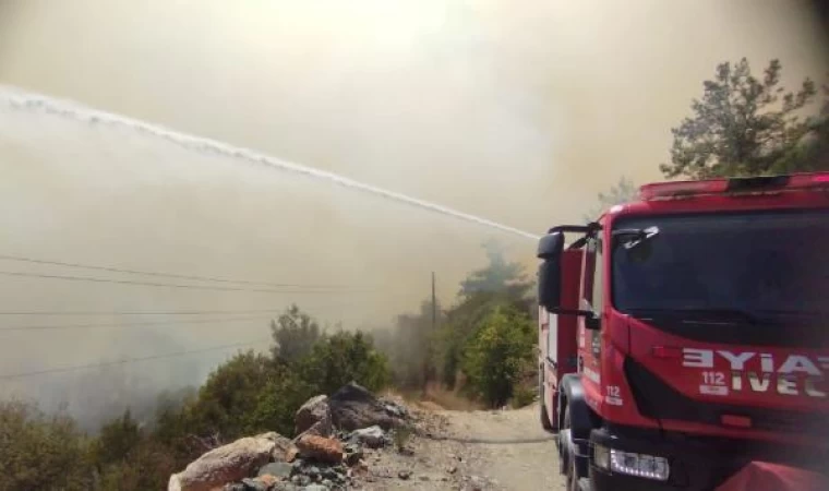 Osmaniye’de orman yangını (2)