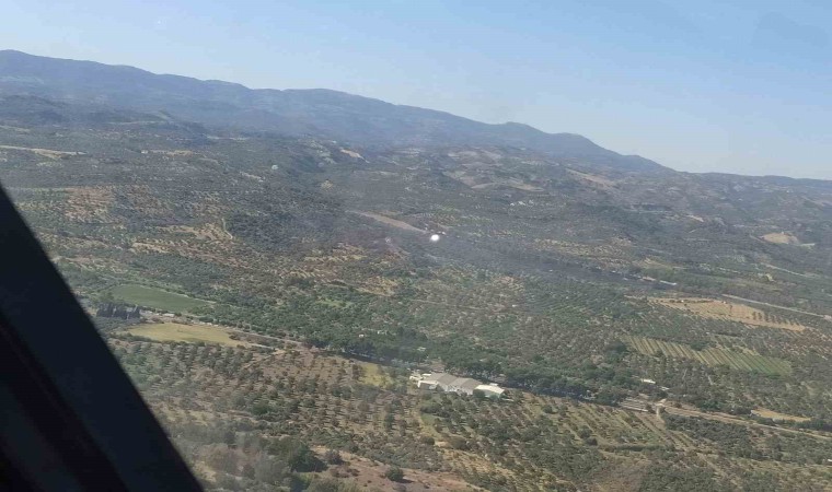 Otoban kenarında çıkan yangın, büyümeden söndürüldü