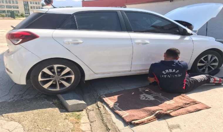 Otomobilin motorundan çıkarılan kedi, itfaiye aracının altına girdi