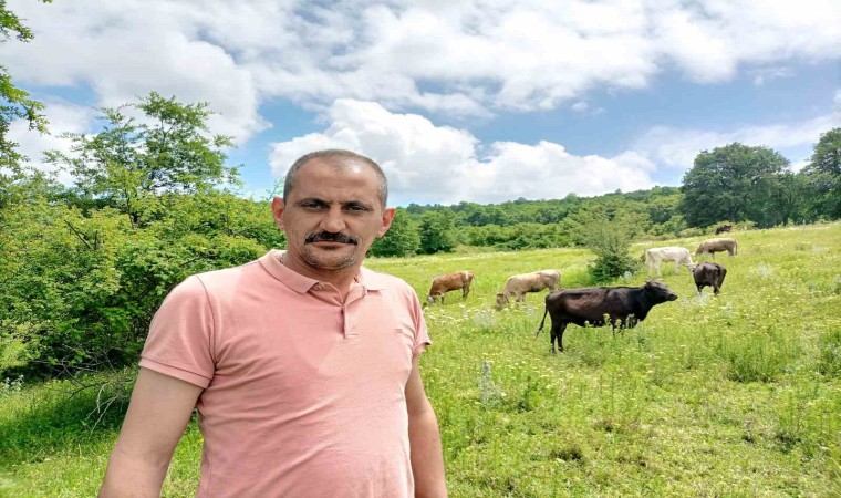 (ÖZEL) Bilecikte 12 gün önce kaybolan düvelerden ikincisi de bulundu