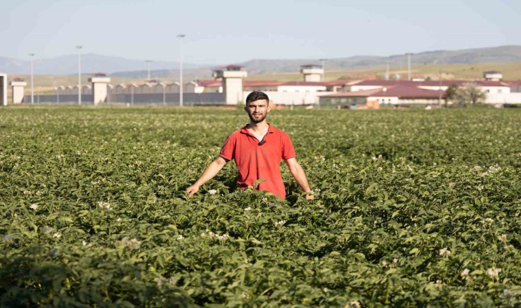 (ÖZEL) Fenomen çiftçinin Afyon şivesiyle yaptığı espriler dilden dile dolaşıyor