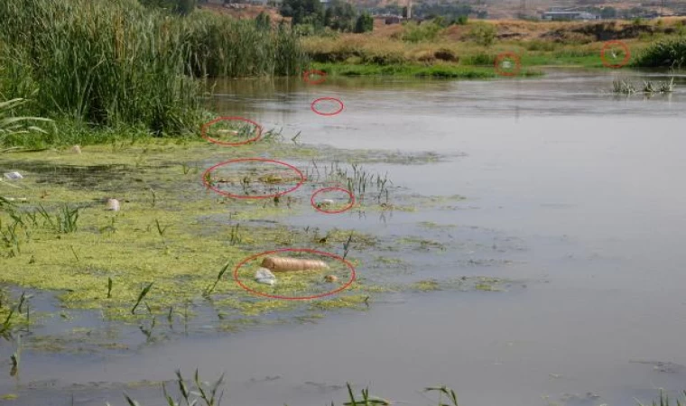 Piknikçilerin kirlettiği Dicle Nehri için uyarı