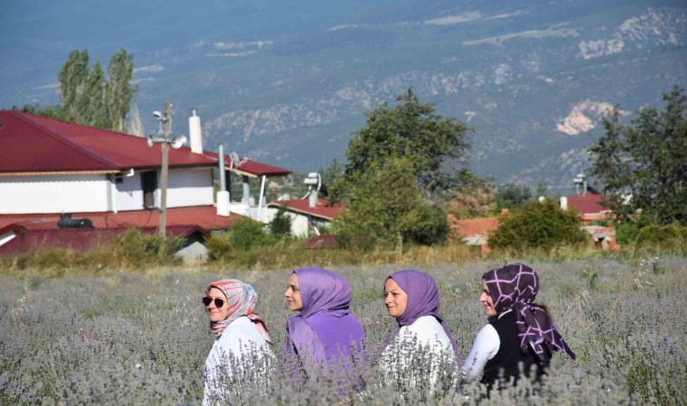 Ressamlığı bırakan kadın girişimci, lavanta üreticisi oldu